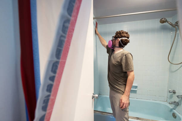 Best Asbestos and Lead Testing During Mold Inspection  in Fort Dix, NJ