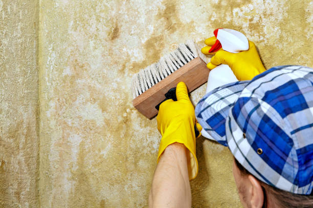 Best Mold Removal for HVAC Installations  in Fort Dix, NJ